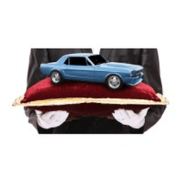 SHIP A CAR DIRECT INC logo