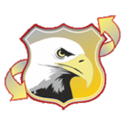 Eagle Auto Transport logo