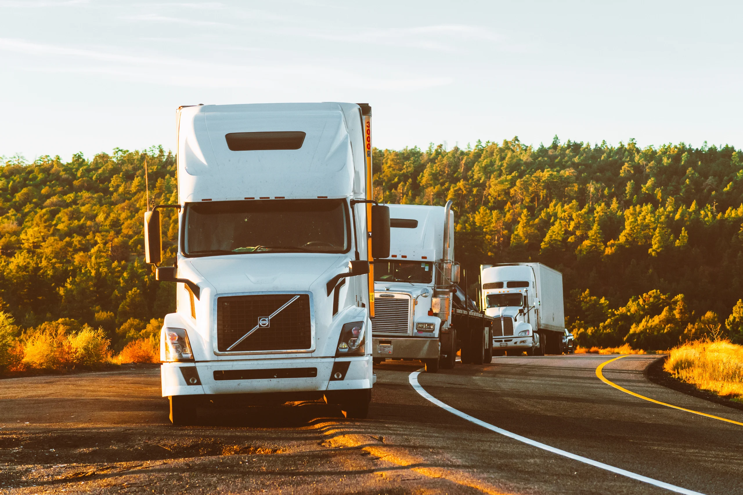 A row of white semi-trucks parked along a winding road in a scenic, forested area during golden hour.Enclosed Vehicle Shipping . USA . Transportvibe